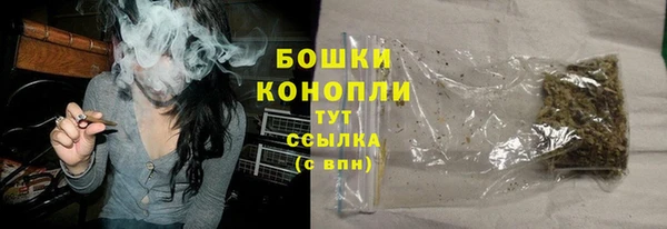 мдма Новозыбков