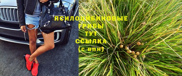 мдма Новозыбков