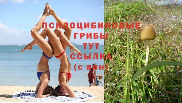 мдма Новозыбков